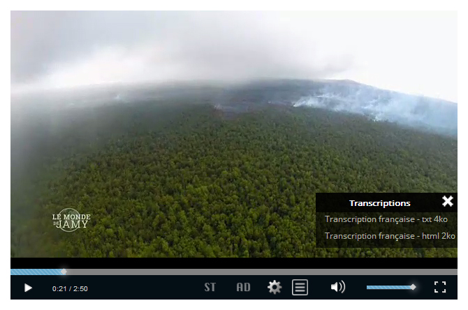 Capture d'un lecteur vidéo, un bouton transcription affiche un lien vers la transcription au format texte et un lien vers la transcription au format HTML.